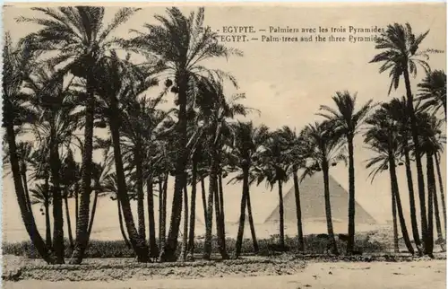 Palm trees and the three Pyramids -219550