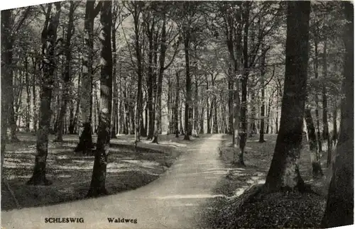 Schleswig - Waldweg -219686