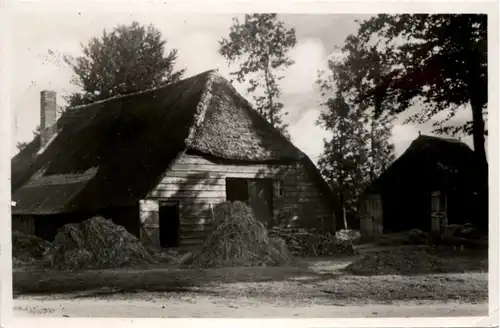 Boerderij - Elspeet -219766