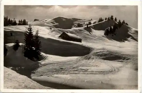 Skigelände am Hochhädrich bei Oberstaufen -219854