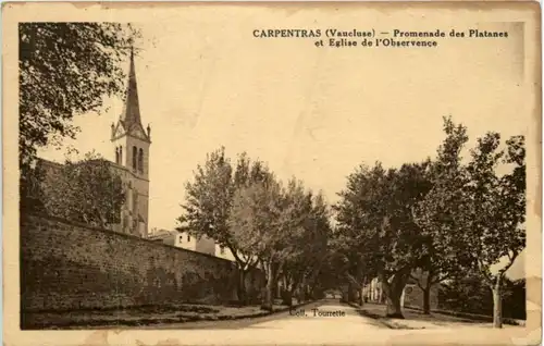 Carpentras - Promenade des Platanes -219968