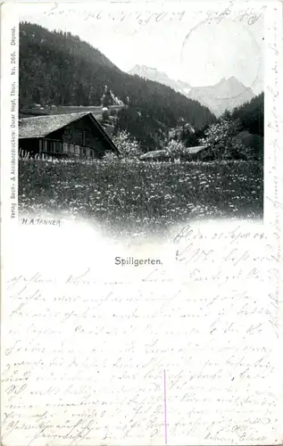 Spillgerten -192482