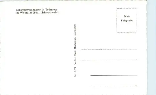 Todtmoos - Schwarzwaldhäuser -219872