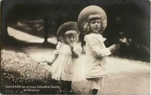 Leurs AARRR les Princes Leopold et Charles de Belgique -28536