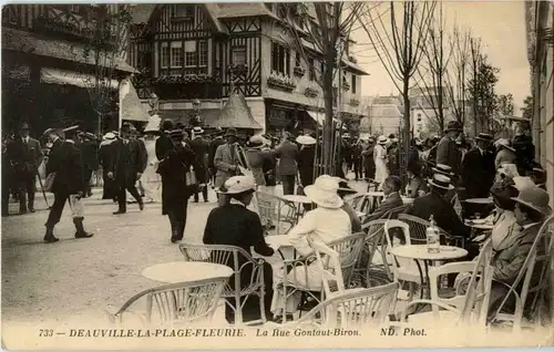 Deauville Plage Fleurie -27512
