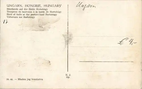 Hortobagy -28982