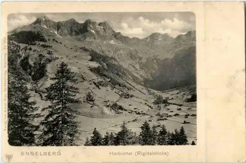 Engelberg -N7428