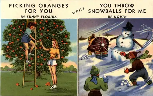 Florida - Picking Oranges -29816
