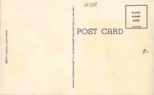 Florida - Picking Oranges -29816