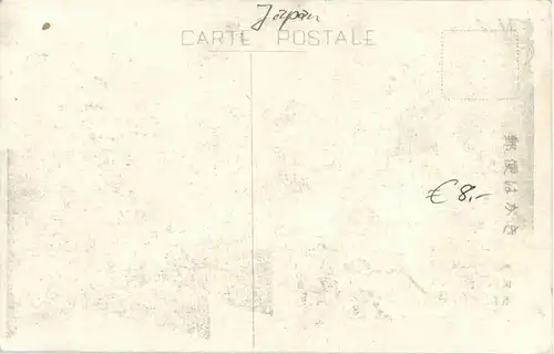 Japan - Snake -29062