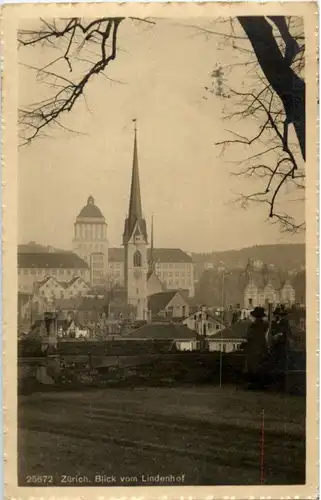 Zürich - Blick vom Lindenhof -N8116