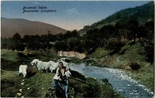 Bosnischer Schafhirt -28016