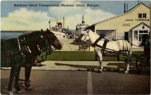 Mackinac Island Transportation -29690