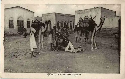 Djibouti - Retour dans la brousse -30304