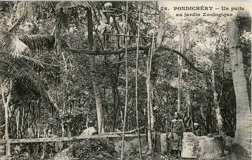 Pondichery - Jardin Zoologique -30084