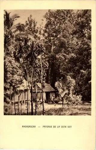 Madagascar - Paysage de la Cote Est -30146
