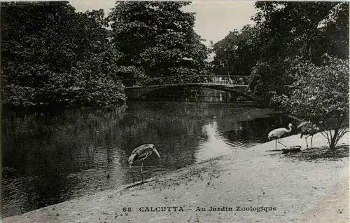 Calcutta - Jardin Zoologique -30082