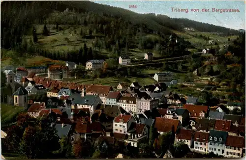 Triberg -103850