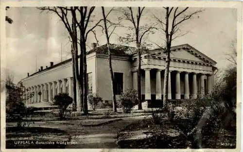 Uppsala - Botaniska trädgarden -30236