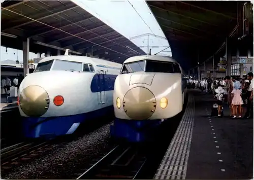 Bullet Trains at Tokyo Central Railroad Station -102310