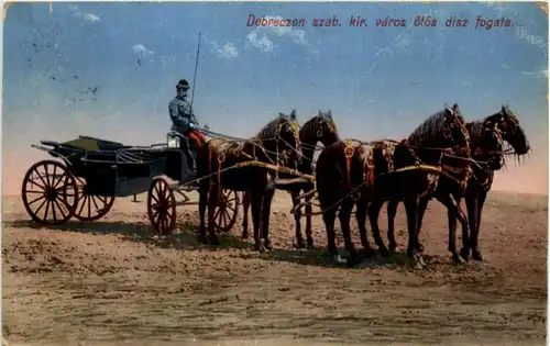 Kutsche Ungarn -102406