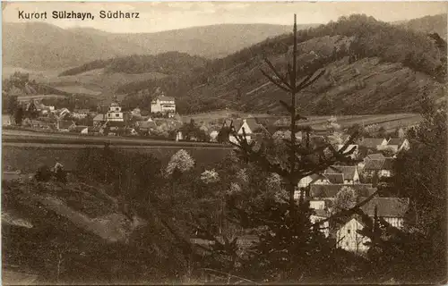 Kurort Sülzhayn, Südharz -300296