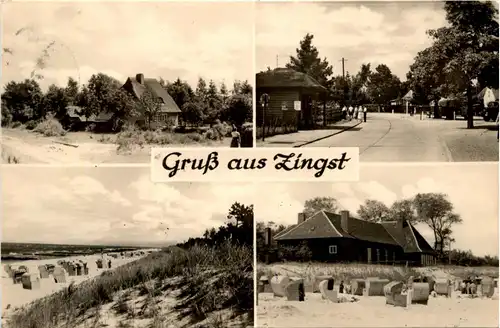Zingst - Gruss aus Zingst -300024