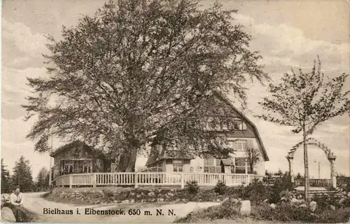 Bielhaus in Eibenstock -36810