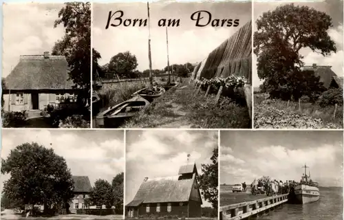 Born am Darss -300244