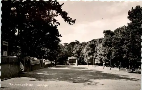 Nordhausen - Gehege -300312