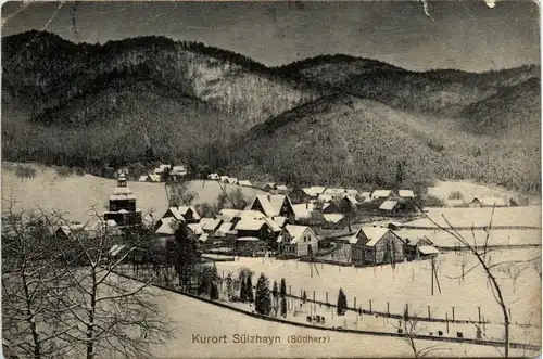 Kurort Sülzhayn - Im Schnee -300326