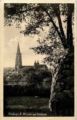 Freiburg - Münster -33264