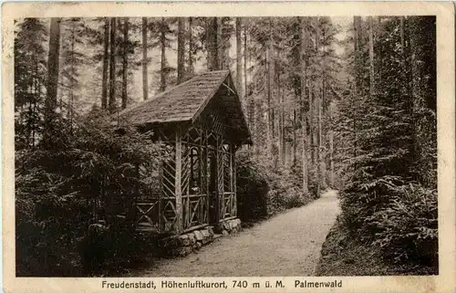 Freudenstadt - Palmenwald -32868