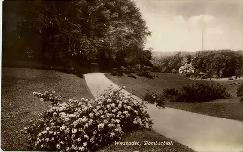 Wiesbaden - Dambachtal -31976