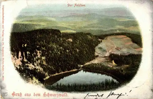 Schwarzwald - Feldsee -33130