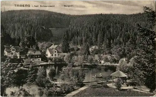 Triberg - Bergsee -32654