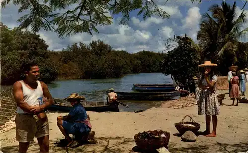 Martinique - Trois Rivieres -31616