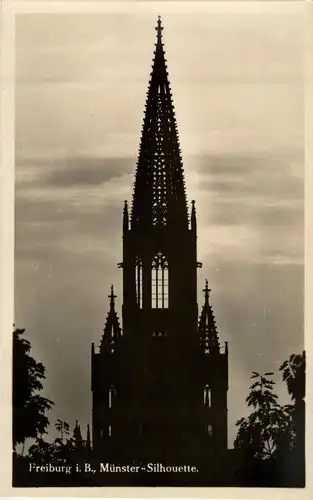 Freiburg - Münster -33272