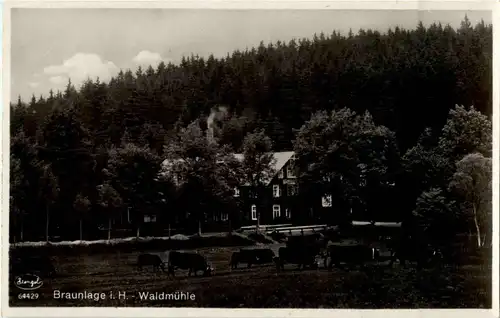Braunlage - Waldmühle -33748