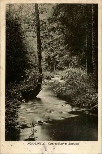 Königsfeld - Obereschacher Schlucht -32876