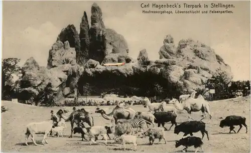 Stellingen - Carl Hagenbecks Tierpark -35860