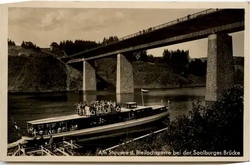 Bleilochsperre am Stausee bei der Saalburger Brücke -300448