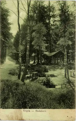 Triptis/Thür. - Landschaft mit Stadt -301070