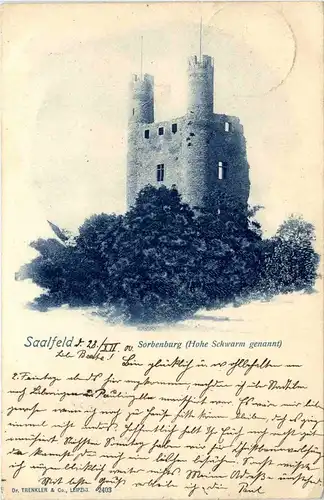 Saalfeld/Saale - Sorbenburg, (Hohe Schwarm genannt) -300952