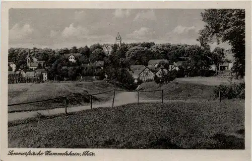 Sommerfrische Hummelshain/Thür. -300570