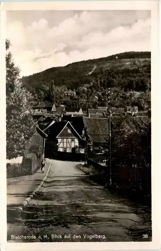 Bleicherode/Harz - Blick auf den Vogelberg -300936