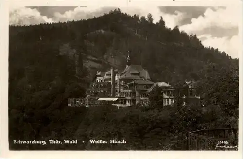 Schwarzburg/Thür.Wald - Weisser Hirsch -301722