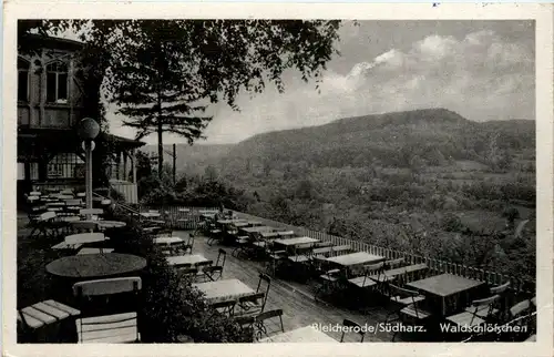 Bleicherode/Harz - Waldschlösschen -300930