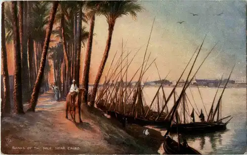 Banks of the Nile near Cairo -35706