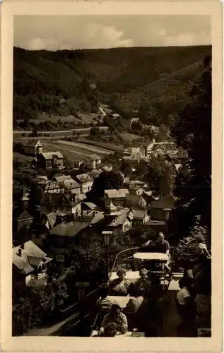 Schwarzburg/Thür.Wald - Blick von der Hotel-Terrasse Schwarzaburg -301716